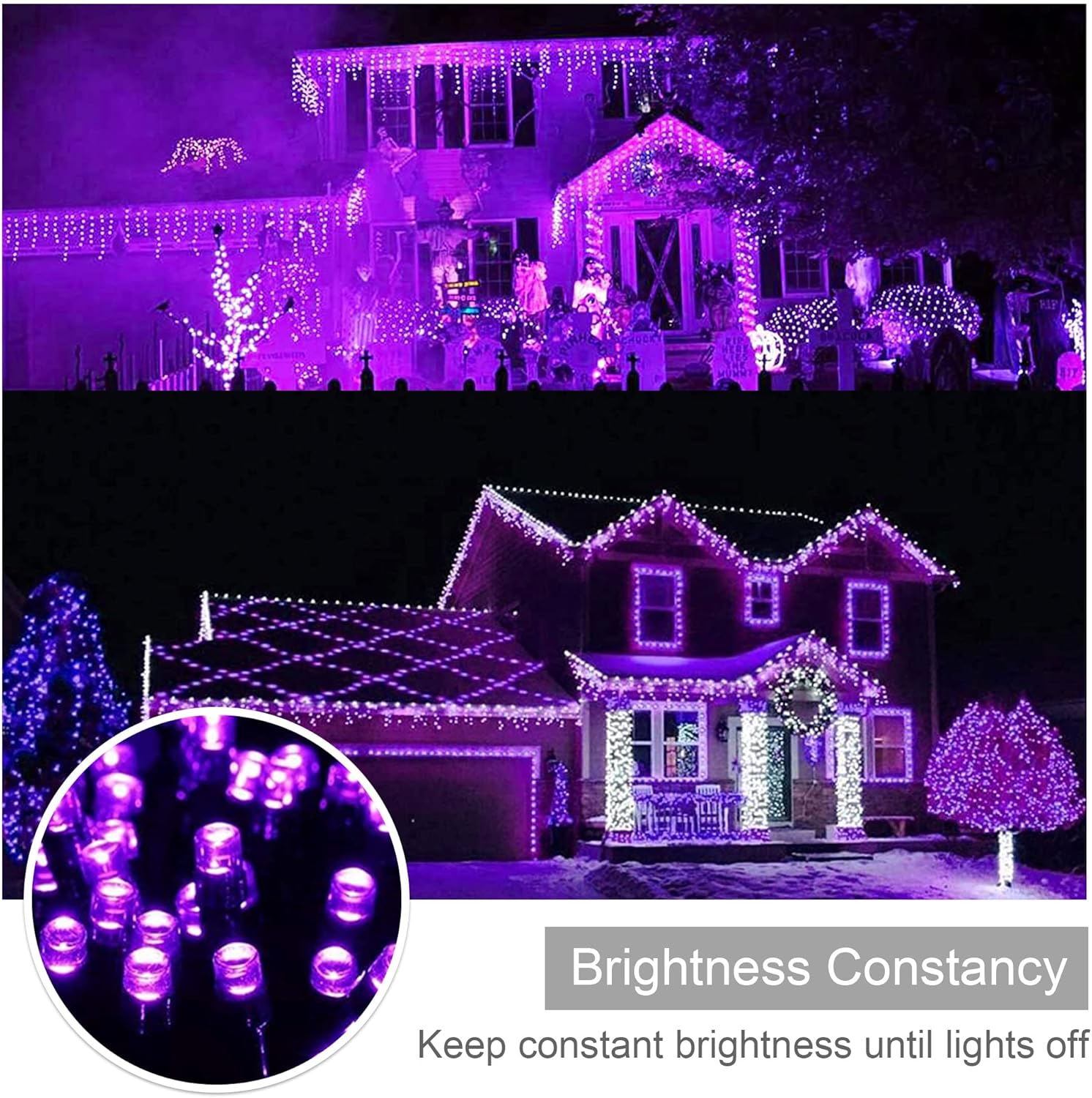 weillsnow Purple Christmas Lights, 200 LED 66Ft Plug in Waterproof Christmas String Lights, 8 Modes with Memory for Outdoor Indoor Garden Tree Patio Christmas Decorations (66FT, Purple)