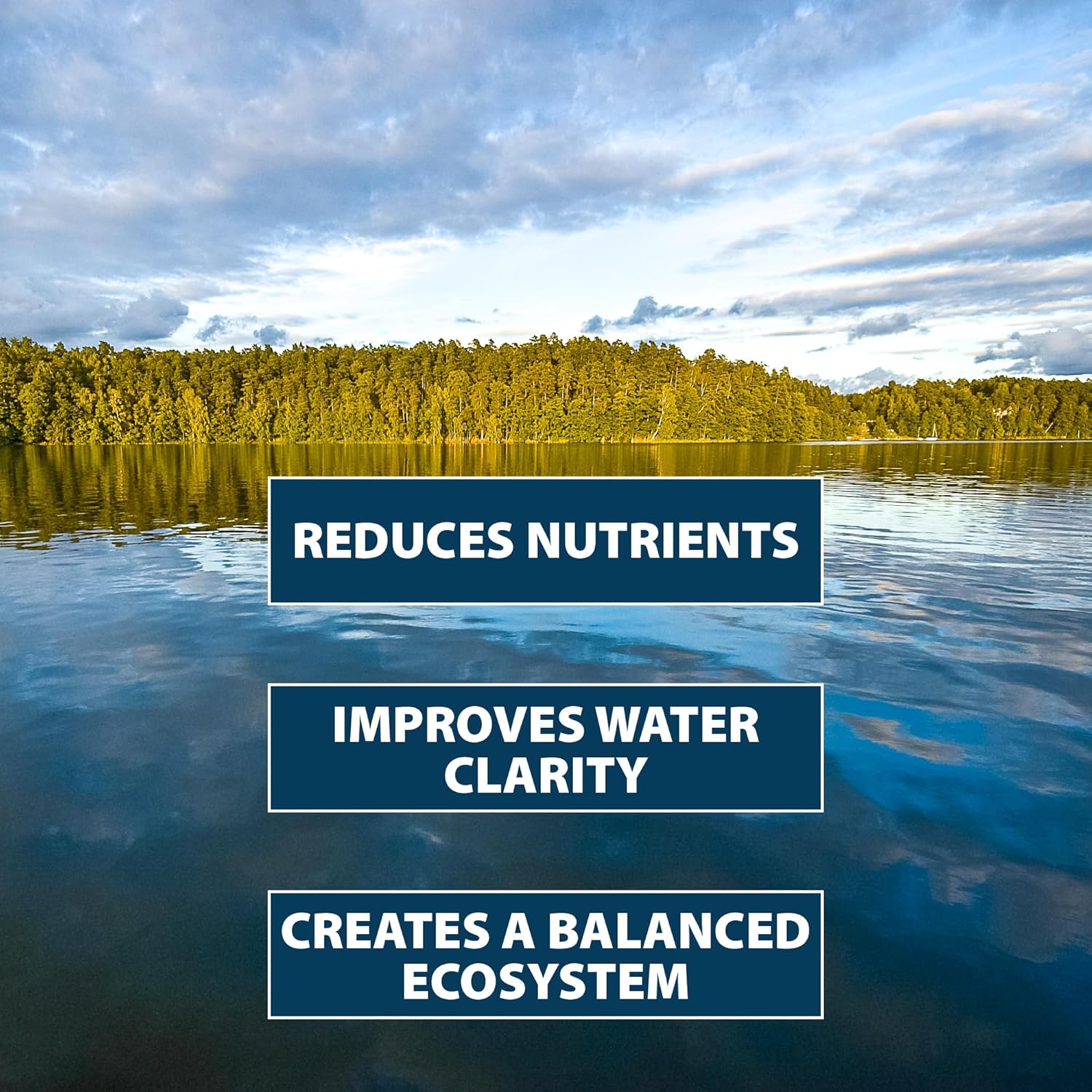 Airmax PondClear Packets, Beneficial Bacteria & Enzyme Clarifier Treatment with Ecoboost PRx, Clear & Clean Pond & Lake Water, Safe for Fish, 12-Count