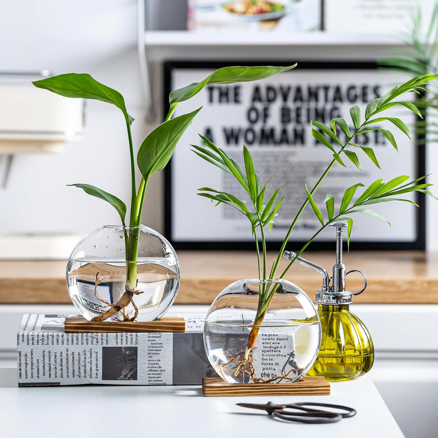 Glass Planter Propagation Station with Wooden Base - Clear Oblate Hydroponic Vase, Decorative Desktop Flower Vase for Home, Office, Windowsill - Gift for Plant Lovers (2)