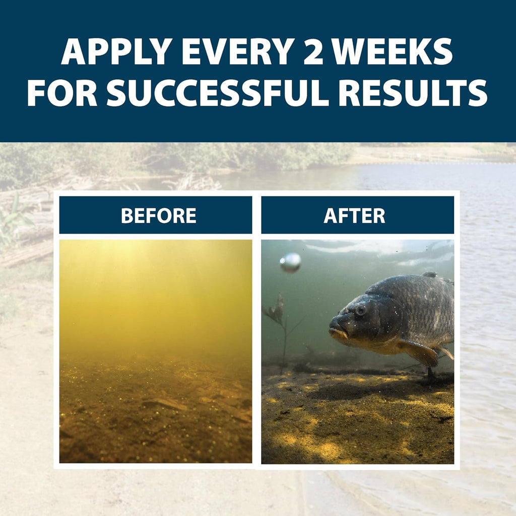 Airmax PondClear Liquid Bacteria for Lakes, Ponds & Water Garden Treatments, Natural Bio Clarifier & Cleaner for Crystal Clear Water, Remove Nutrients & Noxious Odor, Fish, Pet & Plant Safe, 1 Gallon