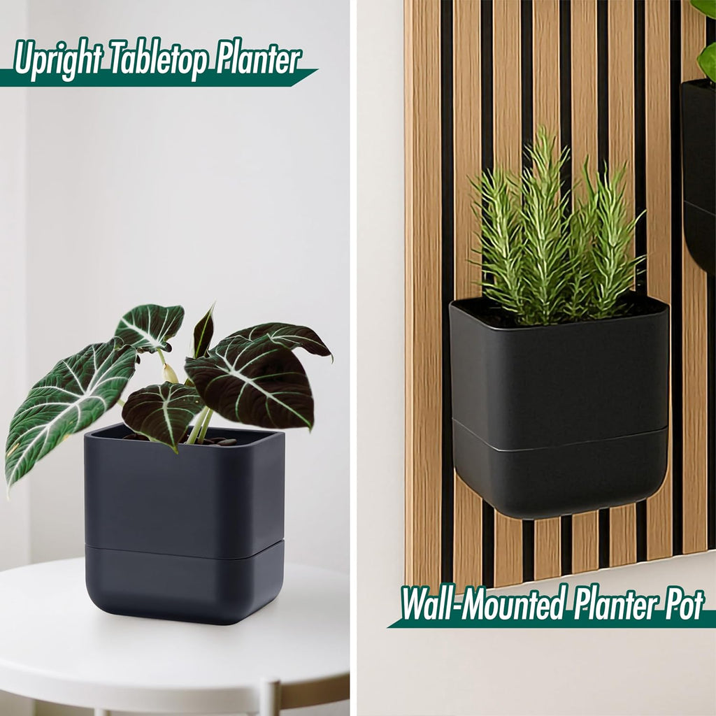 Phoenix Vine 6.5-Inch Wall Mounted Self-Watering Planter Pot for Indoor Houseplants and Herbs | Modern Hanging Planter for Window Sills, Bathroom Walls, Home & Office Décor, Black, Set of 3, 01-WP-B-3