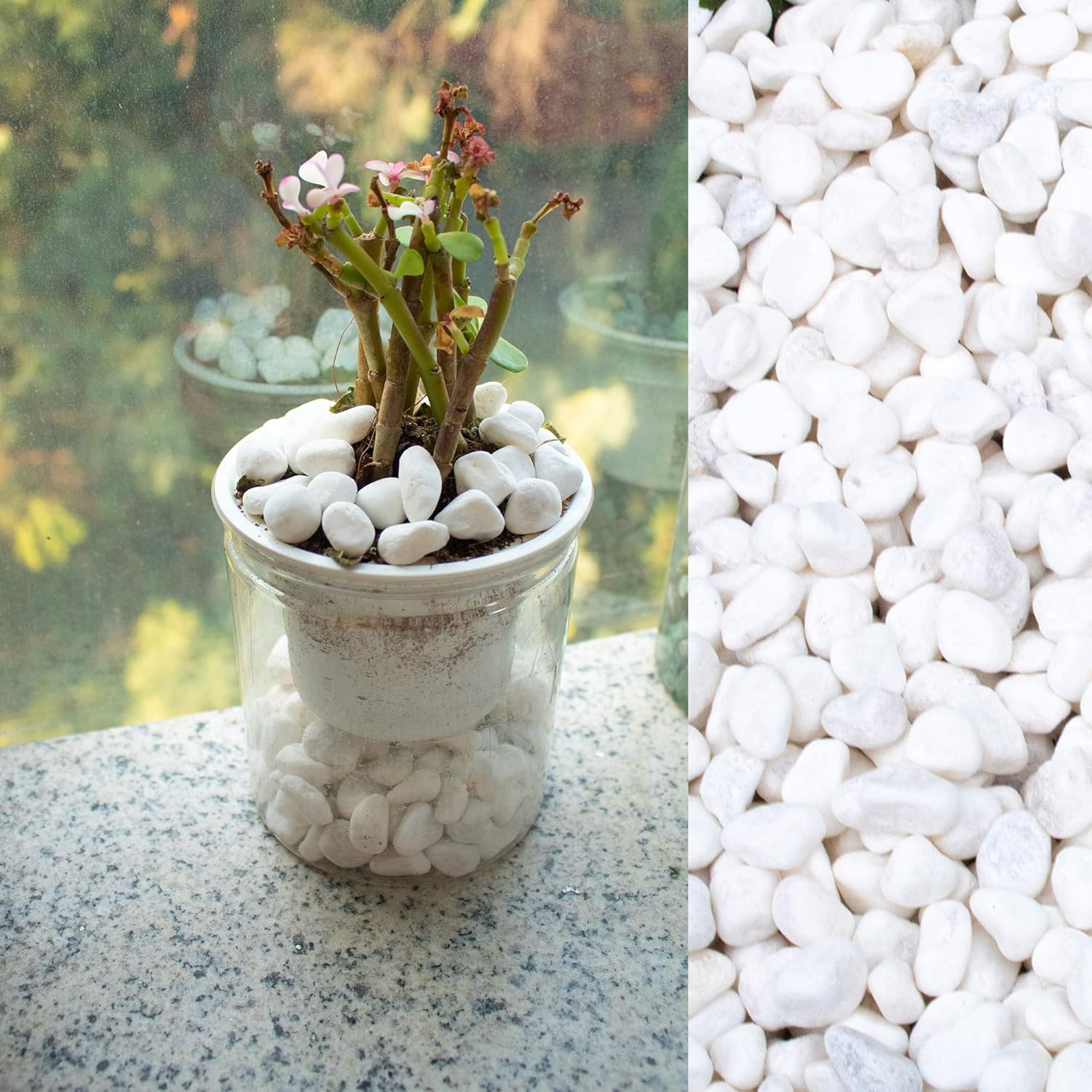 White Pebbles for Plants Garden 18 lb White Rocks Gravel Decorative Stones Landscaping Vase Fillers 1/2"