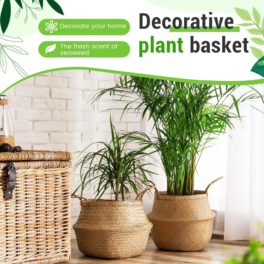 3 Pack Large Wicker Plant Basket with Handle 10 Inch Woven Seagrass Belly Basket and Artificial Moss for Plants Picnic Grocery Laundry House Storage Home Decor (Small,Medium,Large)