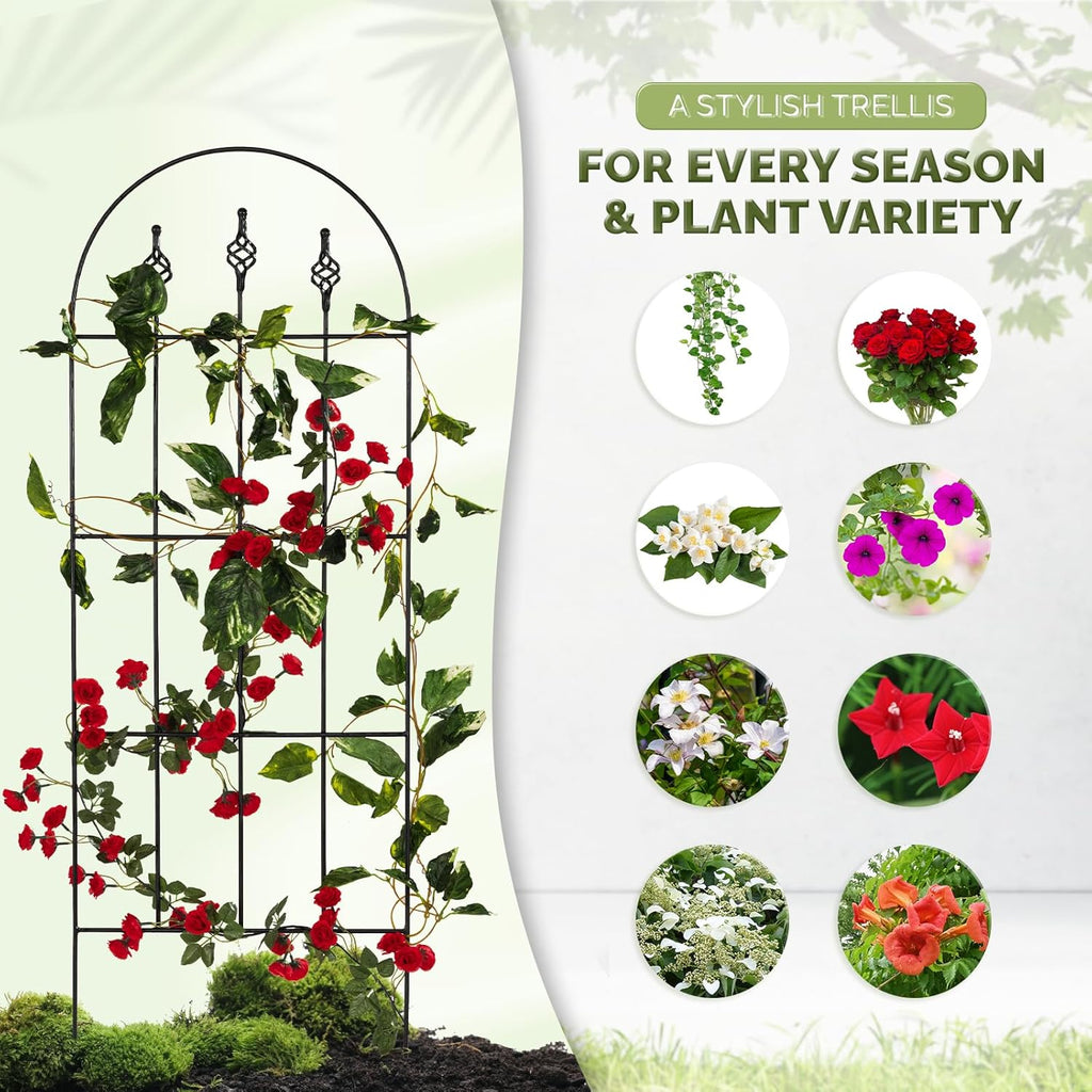 Idzo Decorative Metal Trellis for Climbing Plants Outdoor, Anti-Corrosion Powder Coated Garden Trellis, Sturdy Long Spikes, 48 Inch