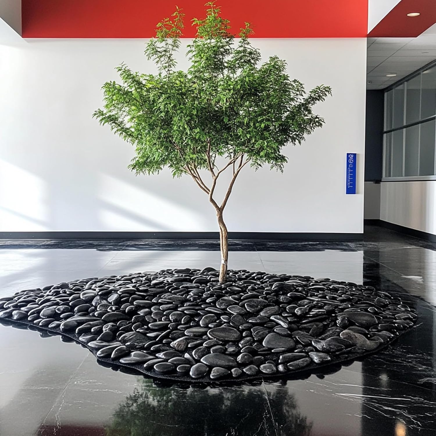 40 lbs Black River Rocks - Large Polished Black Pebbles for Plants & Garden Decorative Stones，2-3" Polished Pebbles for Landscaping, Fish Tanks, Flower Pots, Water Fountains