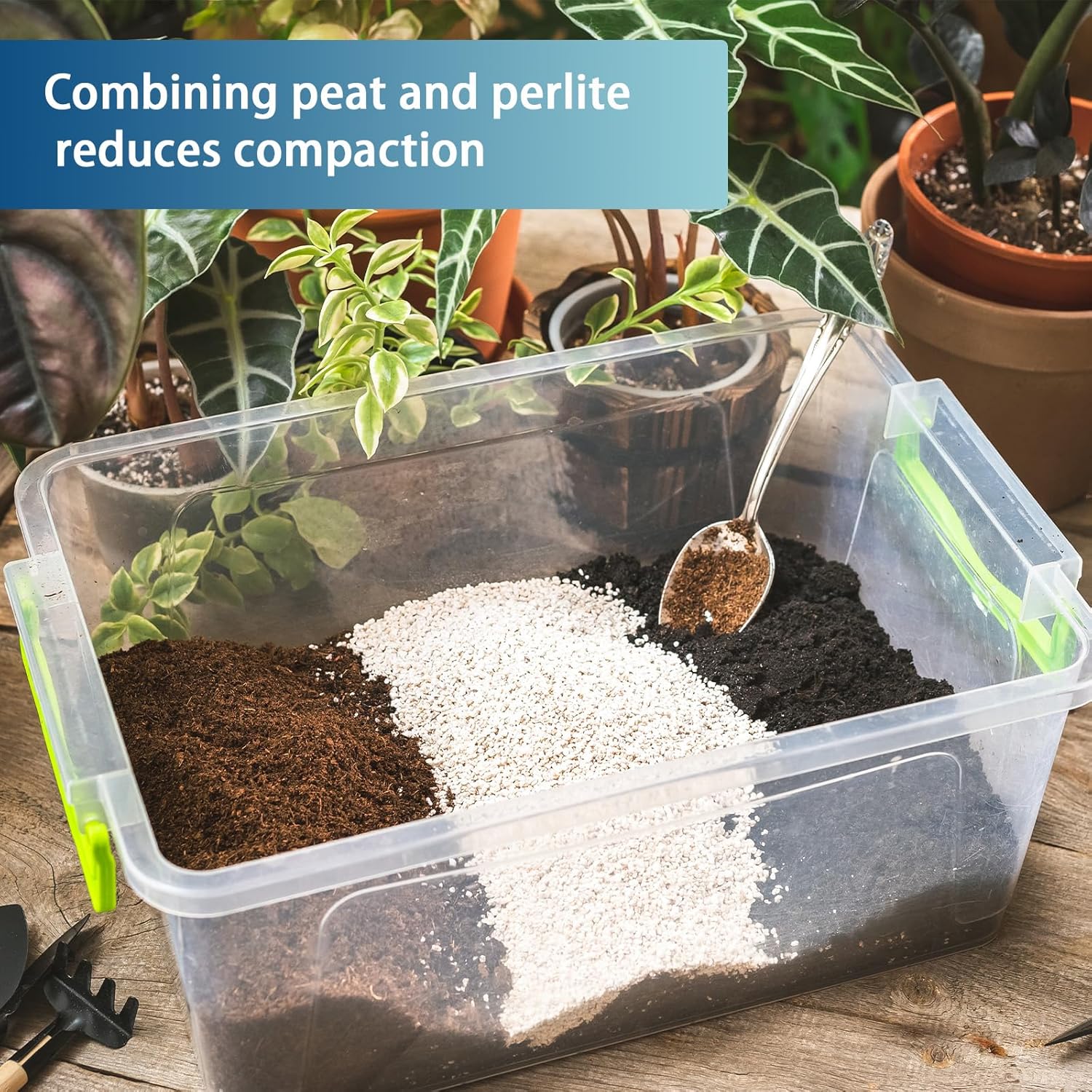 Sphagnum Peat Moss for Plants 10qt, Organic Garden Growing Soil Amendment and Media for Flowers, Vegetables, Herbs, Orchid, Indoor Houseplant