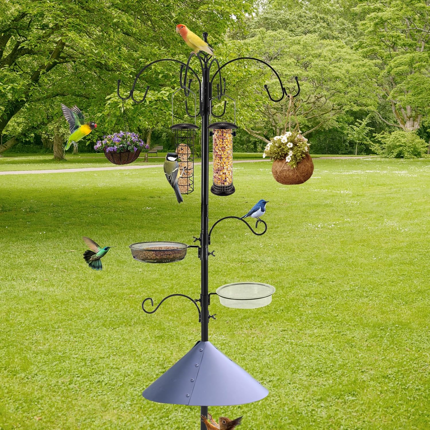 Bird Feeding Station Kit with Squirrel Baffle Bird Feeder Pole with Suet Cage Mesh Tray Fruit Hook Double W Hook for Attracting Wild Birds and Hanging Planter Hanger Lights