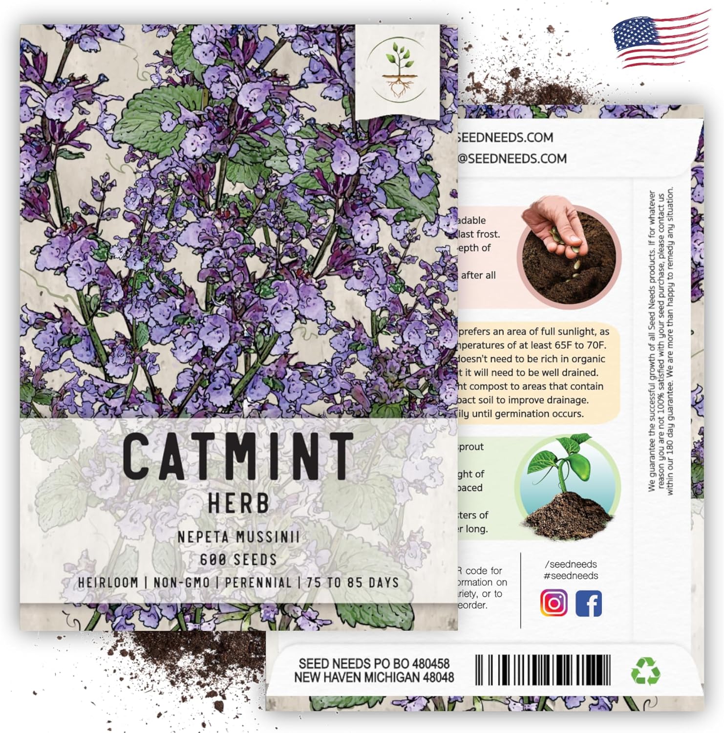 Seed Needs, Catmint Seeds for Cats - 600 Heirloom Seeds for Planting Nepeta mussinii - Perennial Flowering Medicinal Herb Non-GMO & Untreated (2 Packs)