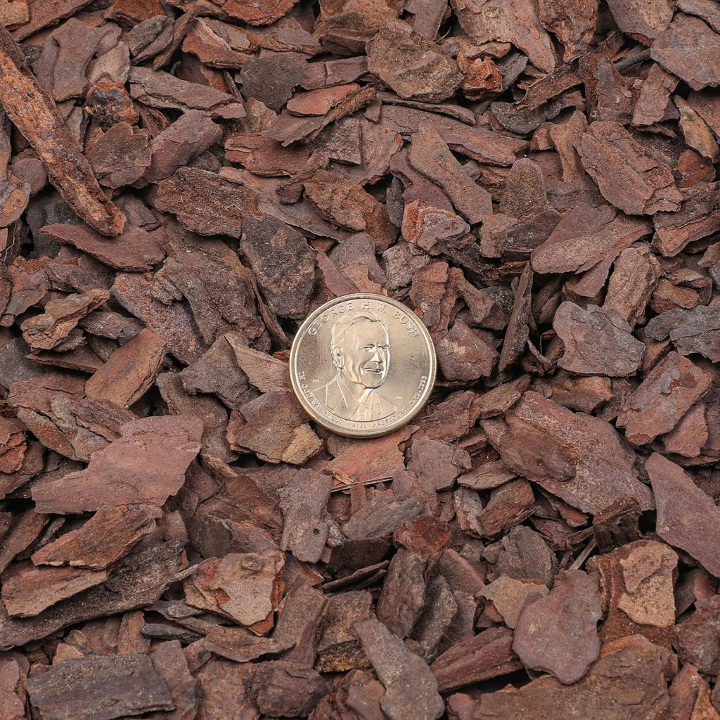 Orchid Bark 1qt, Natural Pine Bark Mulch for Plants, Great for Orchids, Succulents, Cactus, Bonsai, Ideal for Houseplant Mulch