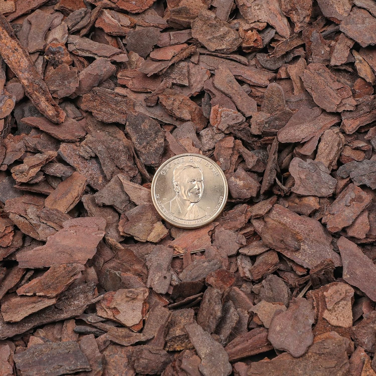 Orchid Bark 1qt, Natural Pine Bark Mulch for Plants, Great for Orchids, Succulents, Cactus, Bonsai, Ideal for Houseplant Mulch