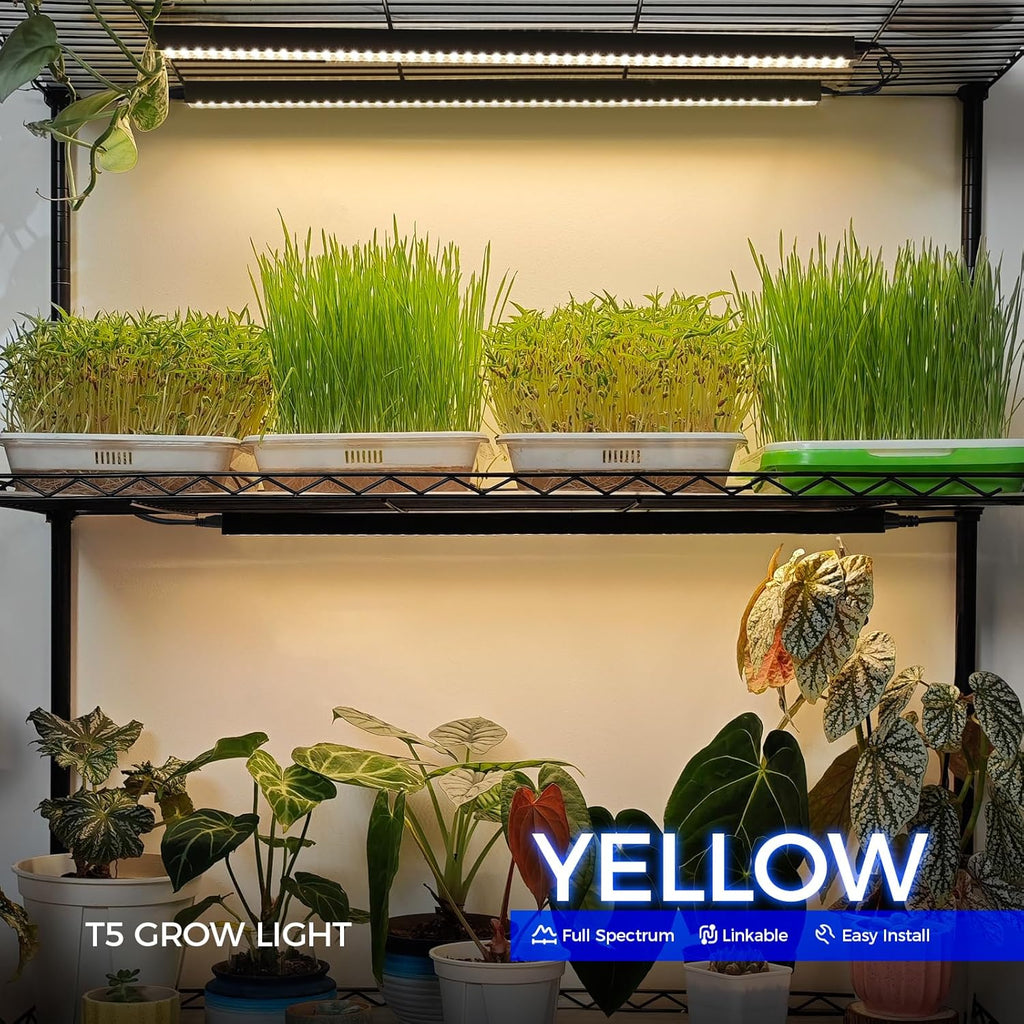 Barrina T5 Plant Grow Lights for Indoor Growing, 2FT 80W (8 x 10W) Full Spectrum LED Grow Light, Black Cover Growing Light Strips with Switch, Magnetic Installation, Plug and Play, Yellow, 8 Packs