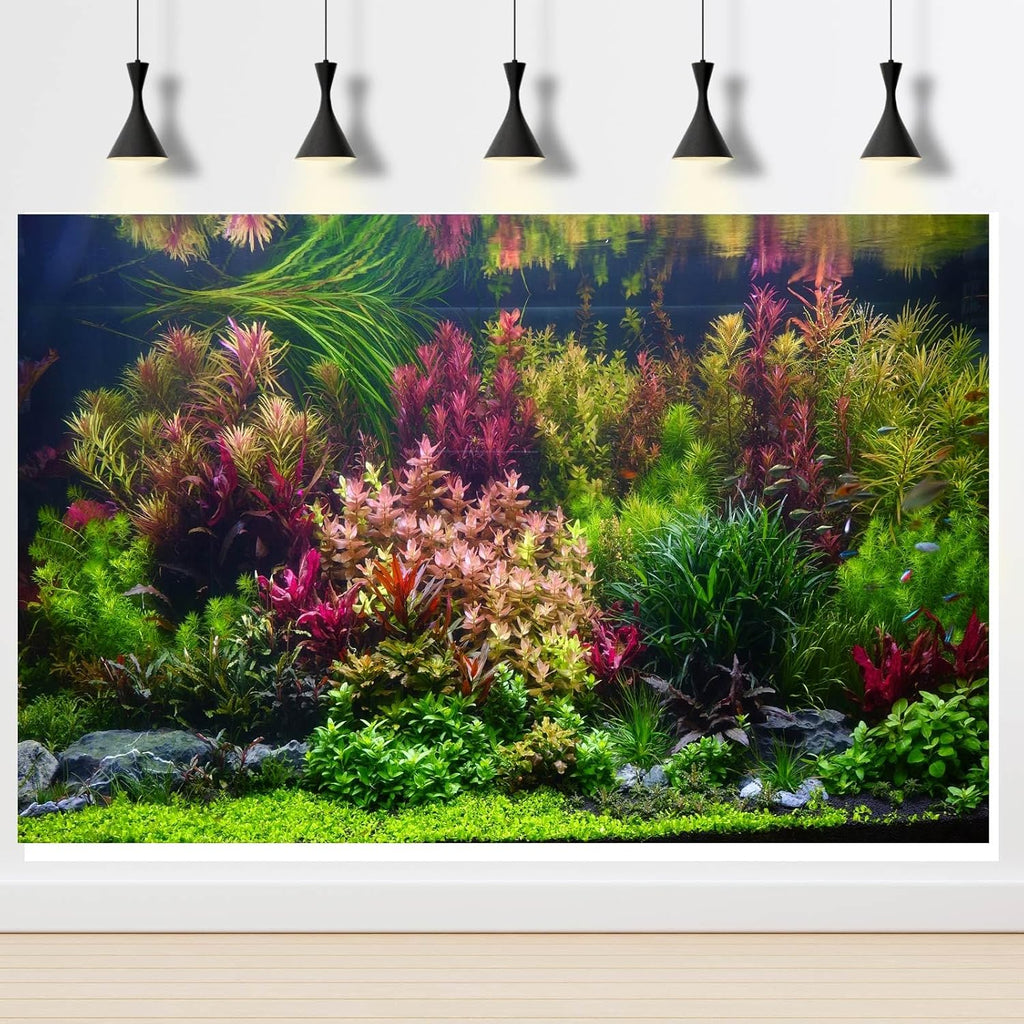 Aquarium Background Various Vivid Fresh Underwater Aquatic Plant Fish Tank Aquarium Backdrop Stone River Bed and Lake Fish Terrarium Background Decor Vinyl 48x20in