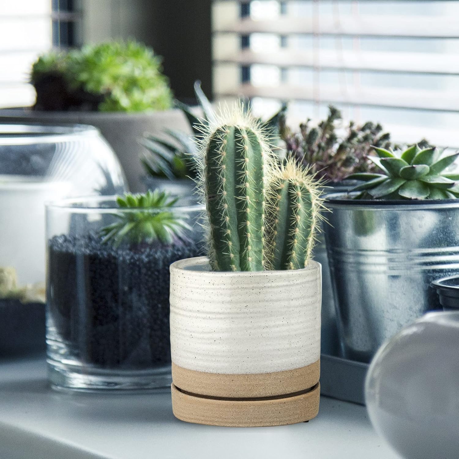 6 Inch Plant Pots, Ceramic Planter Pot with Drainage Hole & Saucer, Indoor/Outdoor Cylinder Round Planter Pot, White & Beige Glaze