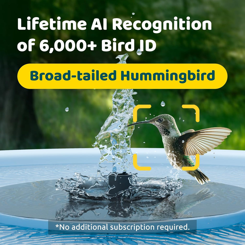 Birdfy Smart Bird Bath with Camera Solar Powered & Fountain & Stand, Dual-Lens Camera for Wildbird Watching, Auto Capture Bird Videos & Motion Detection - AI Lifetime Version