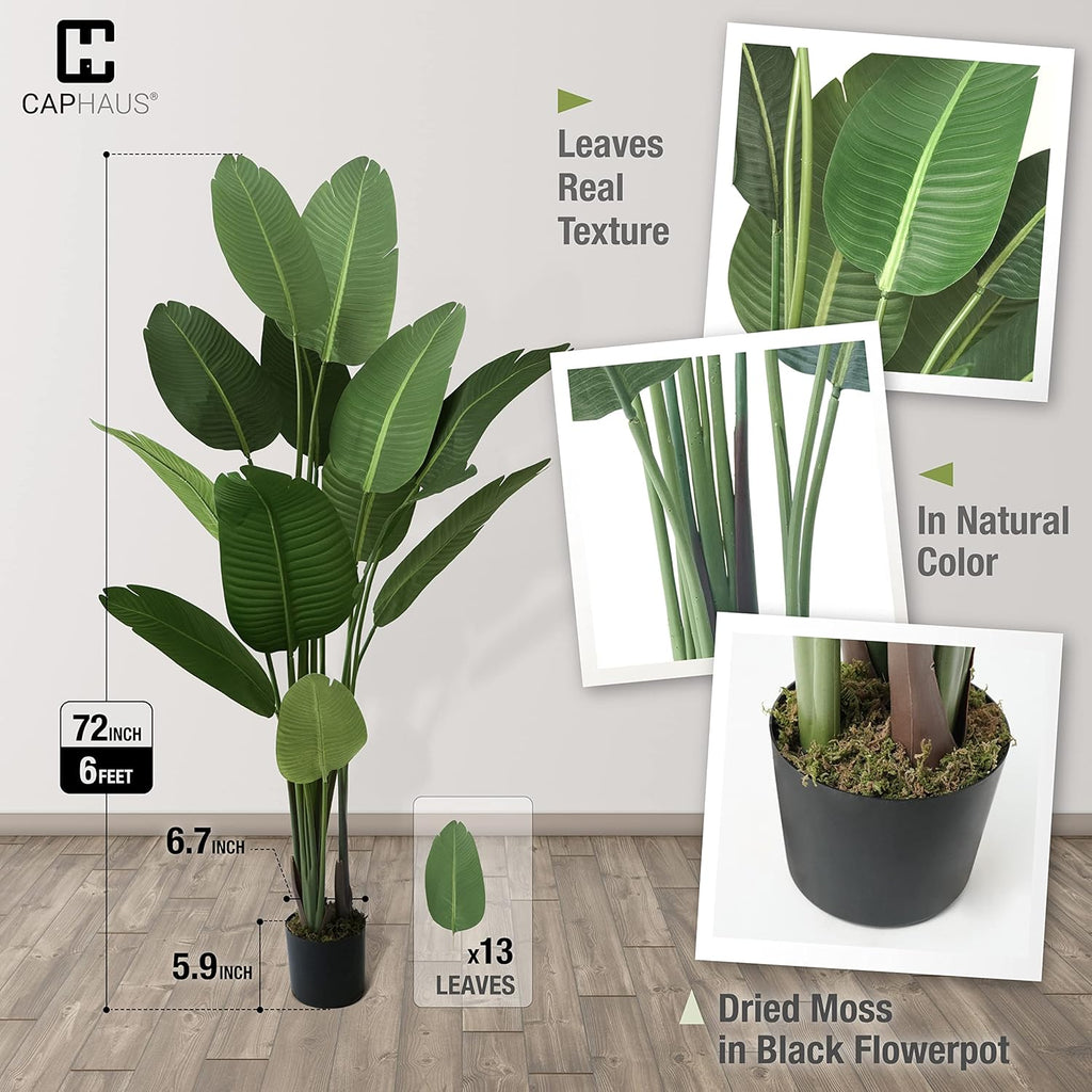 CAPHAUS 6 Feet Artificial Bird of Paradise, 72 Inch with 13 Trunks, Premium UV Resistant Lifelike Fake Plant in Pot with Dried Moss for Office, Indoor/Outdoor Use & Tropical Home Décor