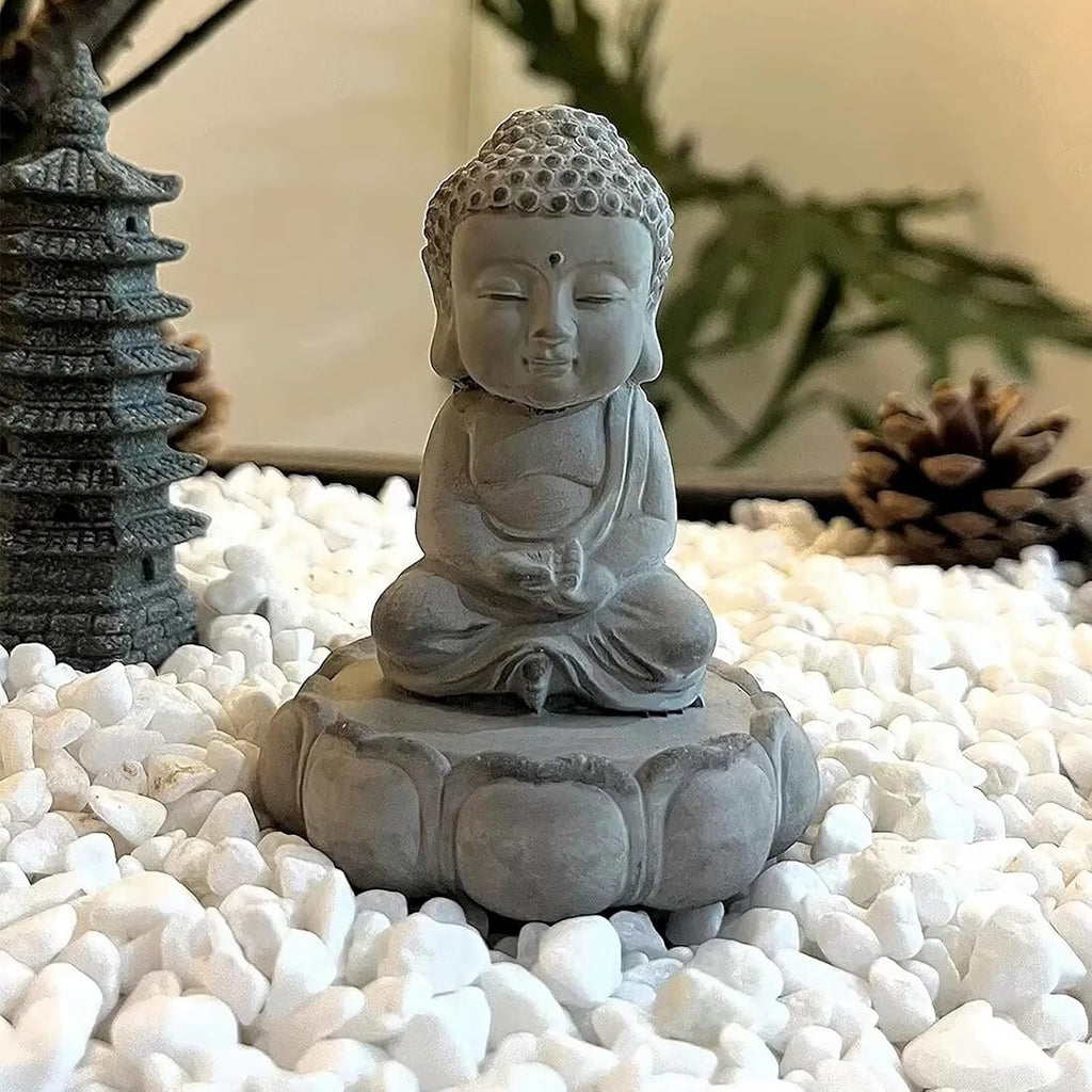 5 lbs White Pebbles for Indoor Plants, 0.5-1 Inch Pea Gravel Stones for Planters, Decorative River Rocks for Succulent, Cactus, Vases, Aquariums, Crafting and Garden Landscaping