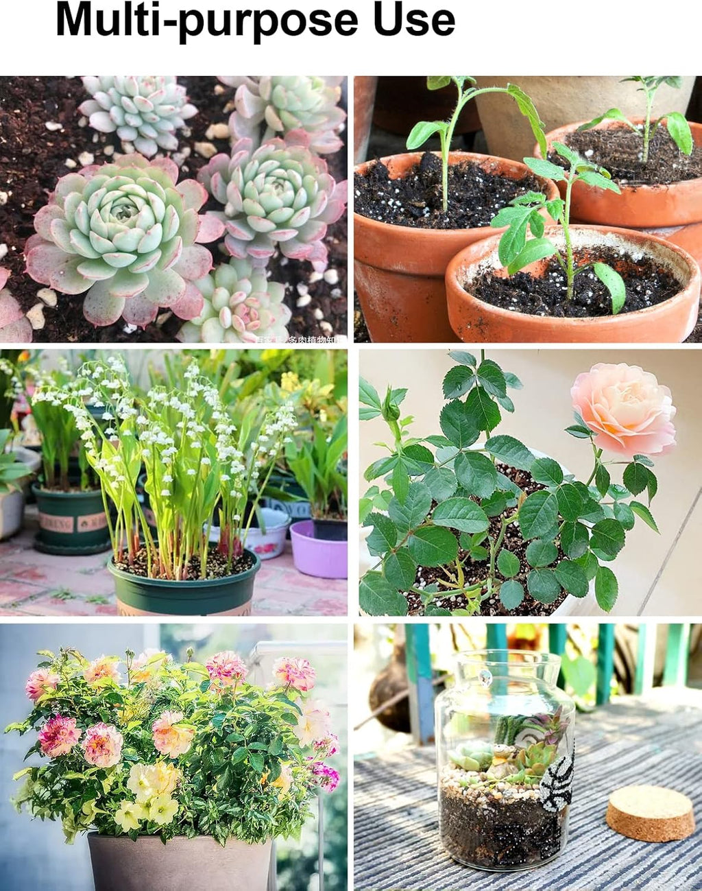 Sphagnum Peat Moss, Natural Bonsai Potting Mix, Succulent and Cactus Potting Soil, Organic Garden Growing Soil Amendment and Media, for Flowers, Vegetables, Herbs, Orchid, Indoor Houseplant, 3qt