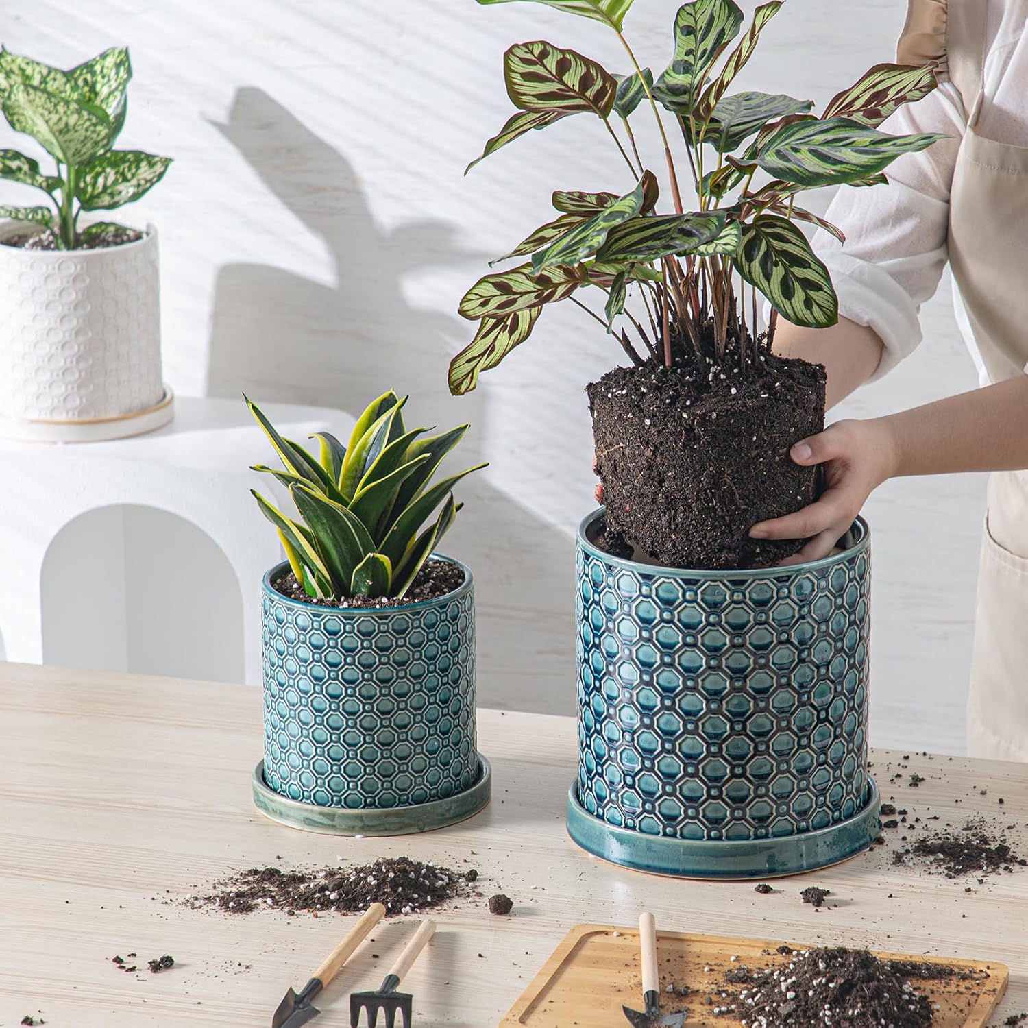 8 Inch Plant Pot: Ceramic Planter with Drainage Hole & Saucer Indoor Outdoor Plants - Cylinder Round Flower Pot for Home Office - Modern Decorative - Medium Blue