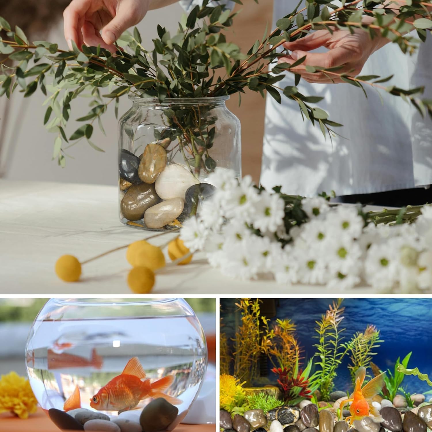 5lbs Large Pebbles for Indoor Plants, 2-3 Inch Natural River Rocks for Aquarium, High Polished Decorative Stones for Vase Filler Fish Tank Landscaping, Mixed Color Garden