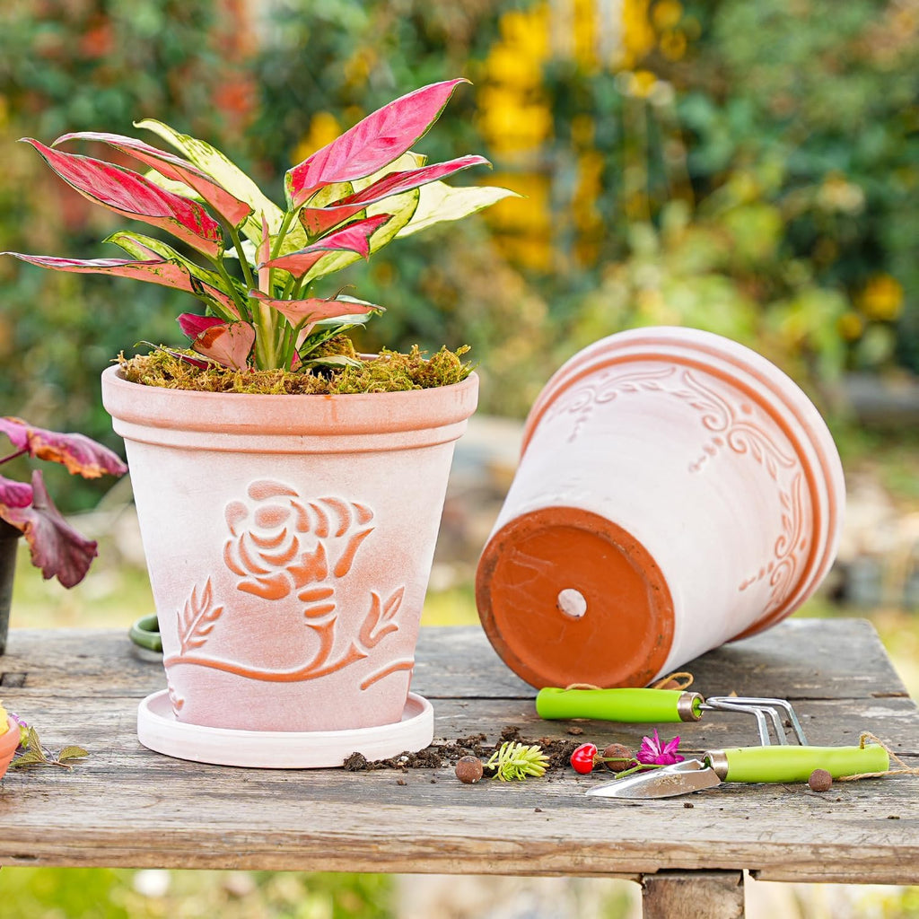 Sungmor Terra Cotta Pot Set - 3 Unique Embossed Clay Planters with Saucer & Drainage, 8 Inch Large & Deep, Pretty Color, Ideal for Orchid, Cactus, Succulent