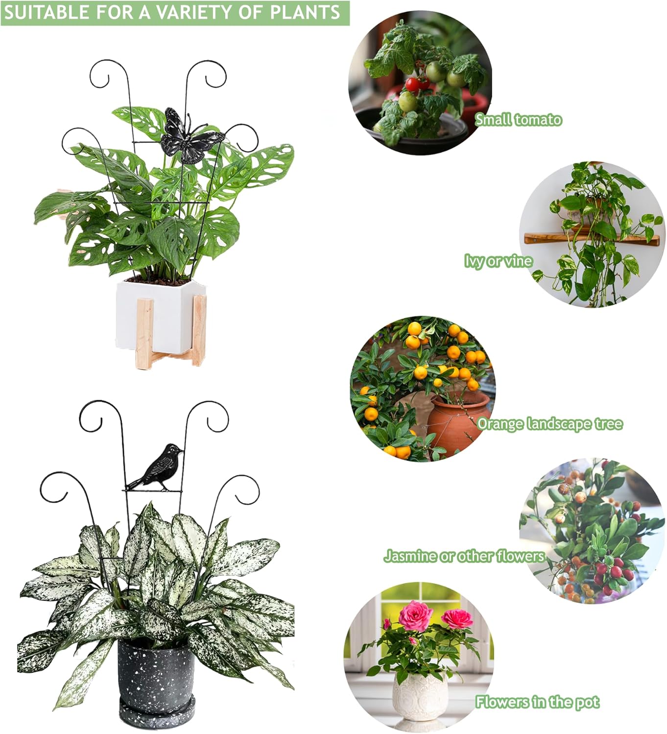 Indoor Plant Trellis for Climbing Plants Indoor Trellis Indoor Metal Trellis 4 Pack for Garden Plants Support Small House Plant Trellis for Vines, Flower