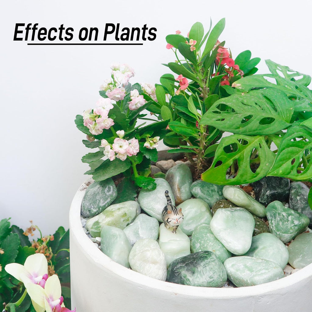 45lbs Jade Pebbles, 2-3 Inch Natural Pebbles for Indoor Plants, Polished Pebbles for Garden Landscaping Aquariums Vase Fillers and Outdoor Decorative Stones