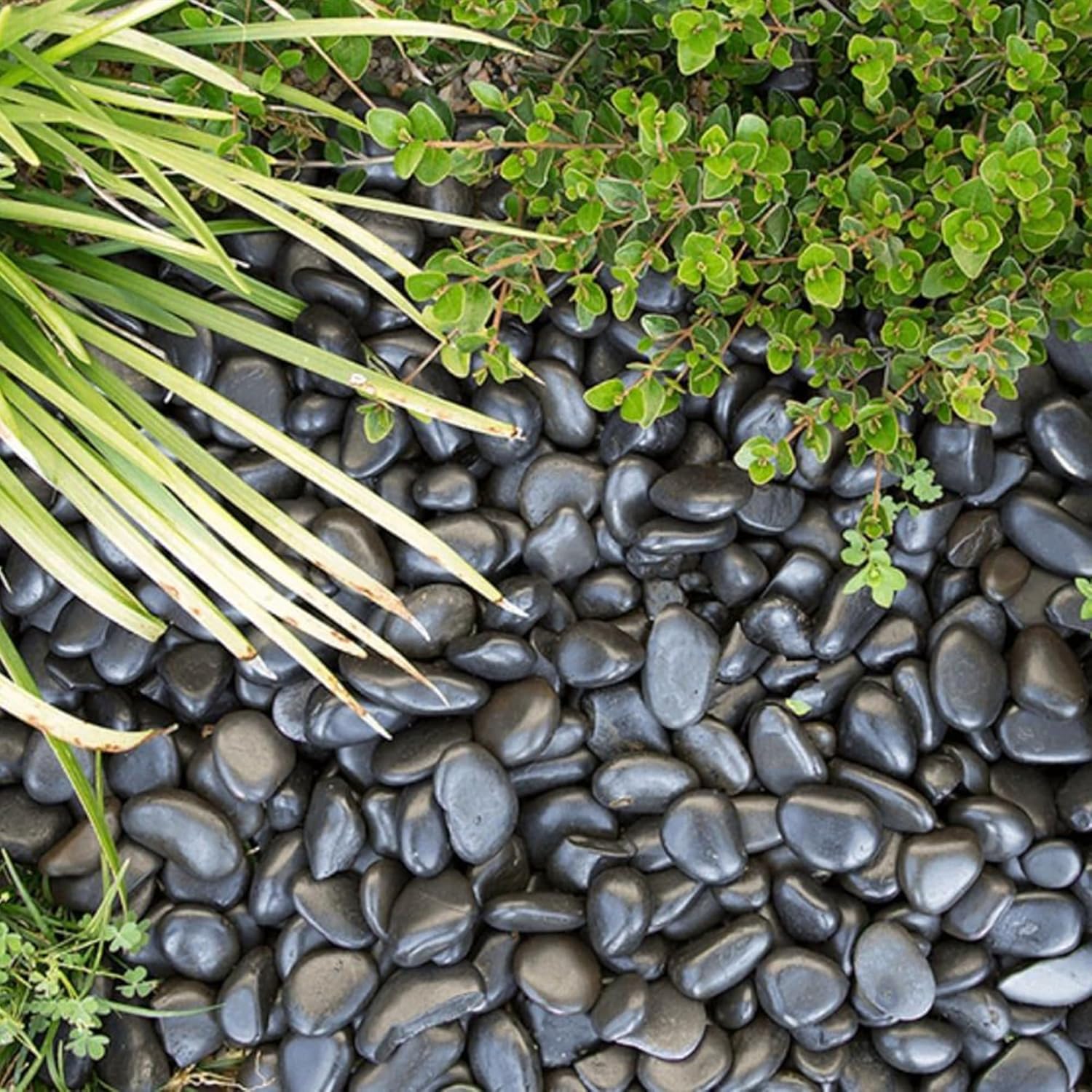 10lbs Black River Rocks, 2-3 Inch Large Pebbles for Indoor Plants, Natural High Polished Decorative Stones for Vase Filler Fish Tank