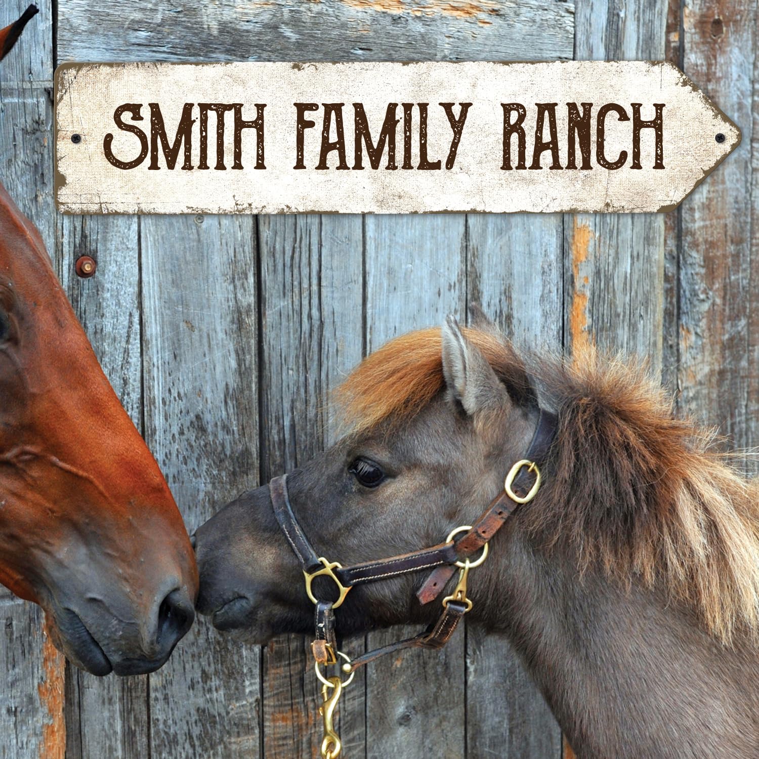 Rustic Custom Sign, Personalized Right Directional Metal Composite Street Sign for Indoor and Outdoor Use 4x18 Inches, ACM Made in the USA