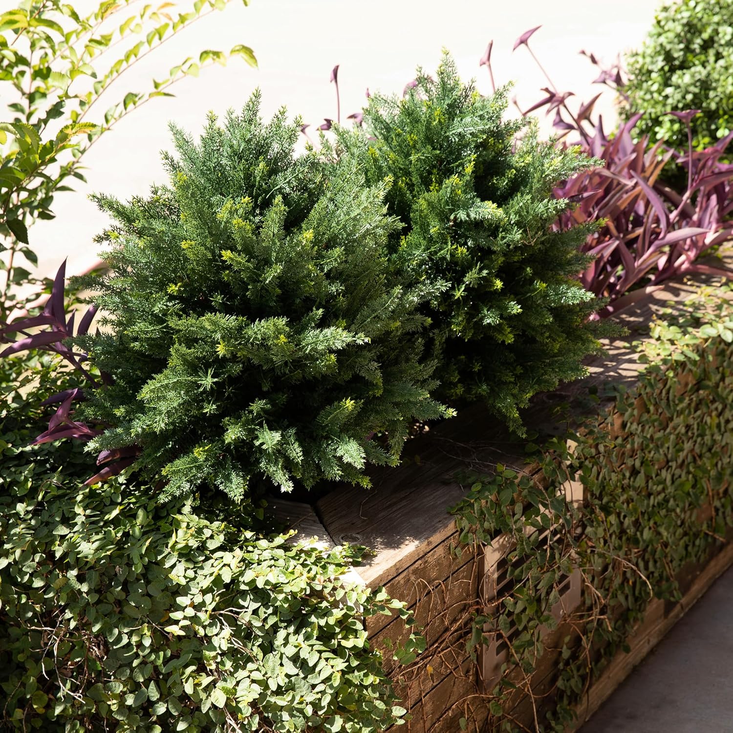 Premium 16" Diameter Artificial Cypress Topiary – Set of 2 Faux Plants with Ground Spikes – UV-Resistant, Realistic Outdoor & Indoor Greenery – Weatherproof Garden Landscaping Décor