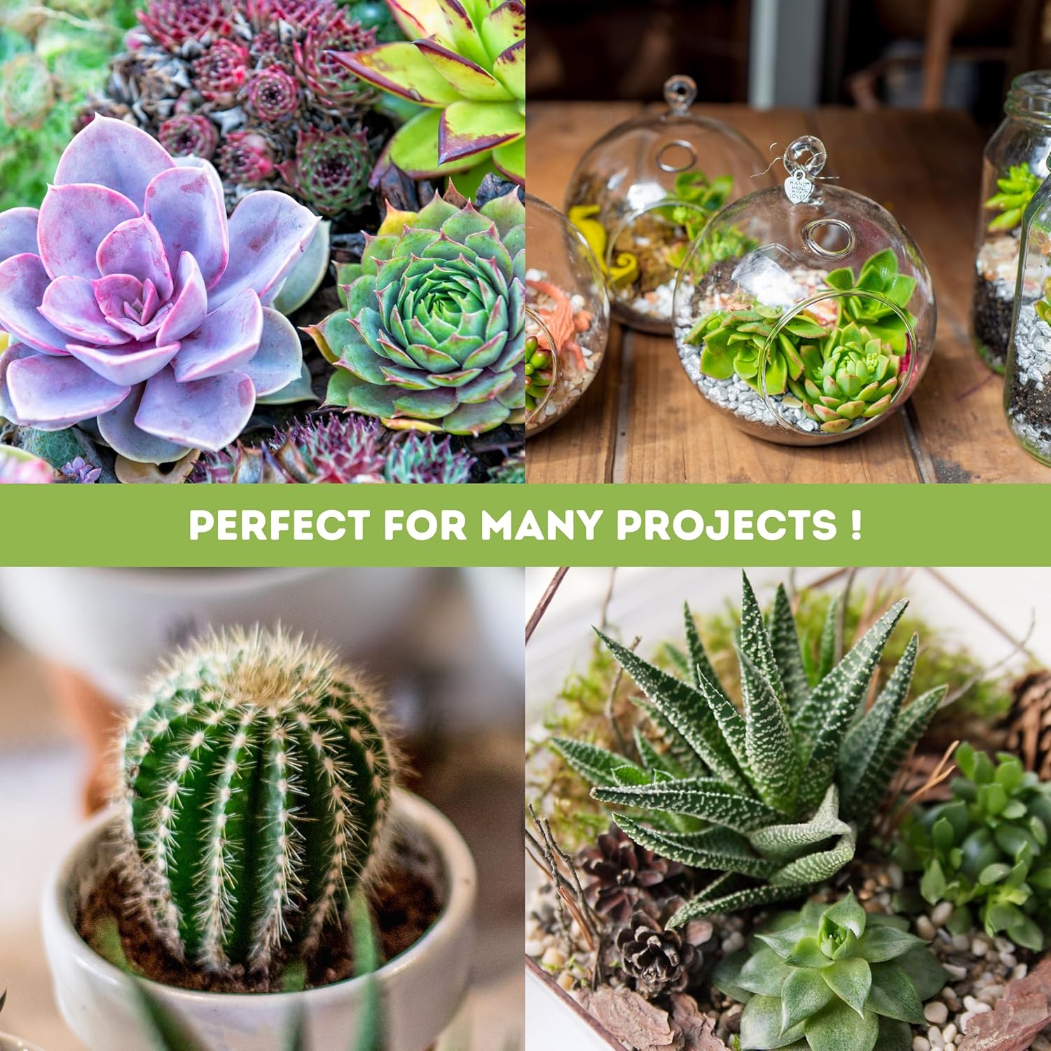 3FT LED Succulent Terrarium Plant Grow Light Linkable Full Spectrum Daylight with Enhanced 660nm Red and 450nm Blue LightTech Indoor Lighting Fixture (3 FT)