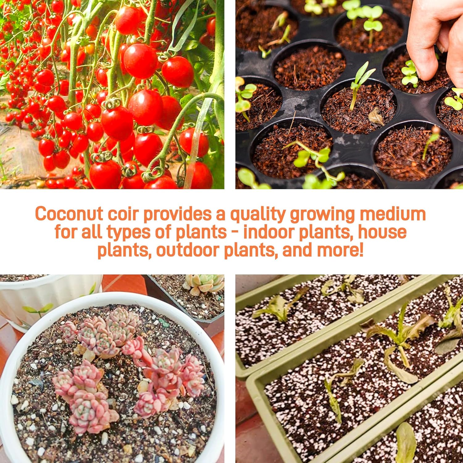 9-Pack Premium Organic Coco Coir Bricks for Plants - Low EC & pH Balance - 100% Natural Peat Moss Mix with Coconut Husk Fiber - Perfect for Gardening, Potting Soil Substrate - 12.6 lbs