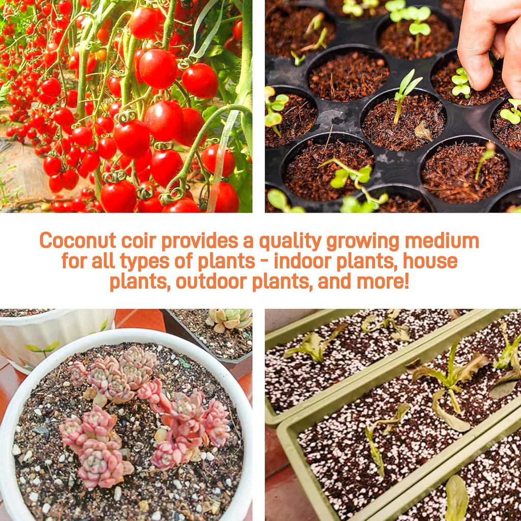 Premium Organic Coconut Coir Bricks - 6 Pack Coco Coir Bricks for Planting, Gardening, and Potting Soil Substrate. Low EC & pH Balanced 100% Organic Peat Moss Mix with Fiber from Coconut Husks
