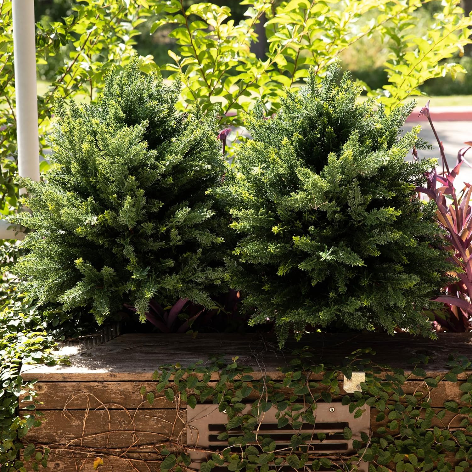 Premium 16" Diameter Artificial Cypress Topiary – Set of 2 Faux Plants with Ground Spikes – UV-Resistant, Realistic Outdoor & Indoor Greenery – Weatherproof Garden Landscaping Décor