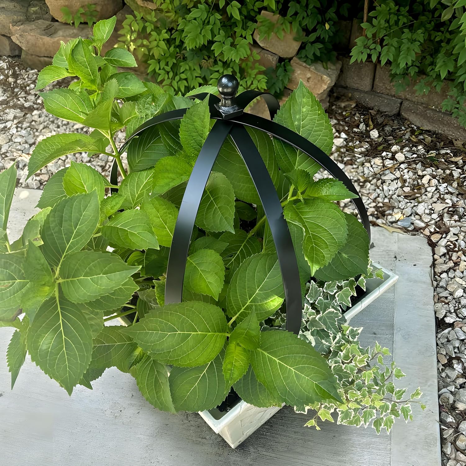 Metal Obelisk Trellis for Outdoor Garden - 18x22 Inches Durable Round Topiary Frame, Easy Assembly & Compact Storage, Perfect for Climbing Plants Decorative Garden Accent