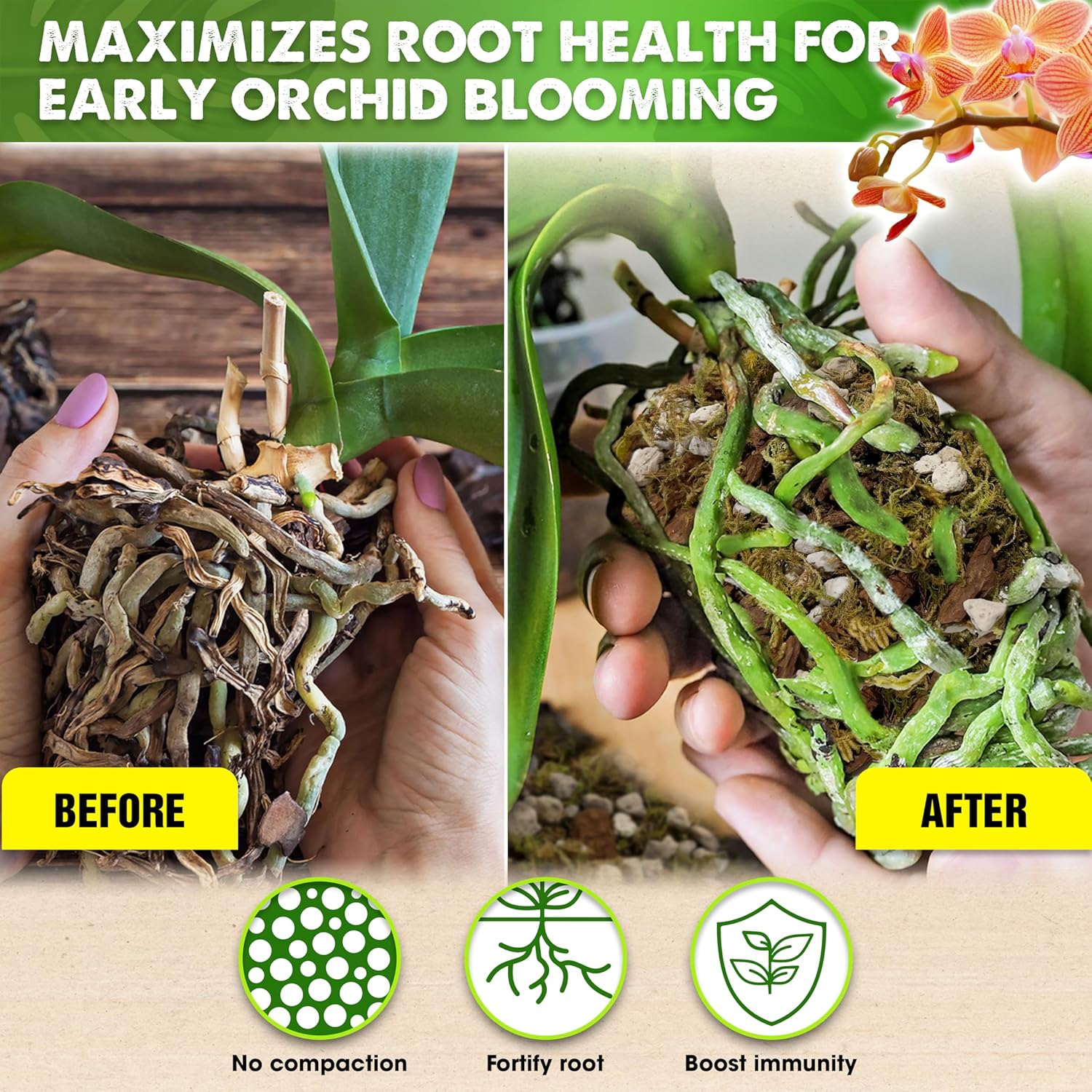 [Upgraded] DUSPRO Orchid Potting Mix for Repotting with Forest Moss, Pine Bark,Perlite & Pumice,Orchid Bark Potting Mix,Orchid Repotting Soil, Drainage Indoor Potting, Orchid Pot Not Included,1 Quart