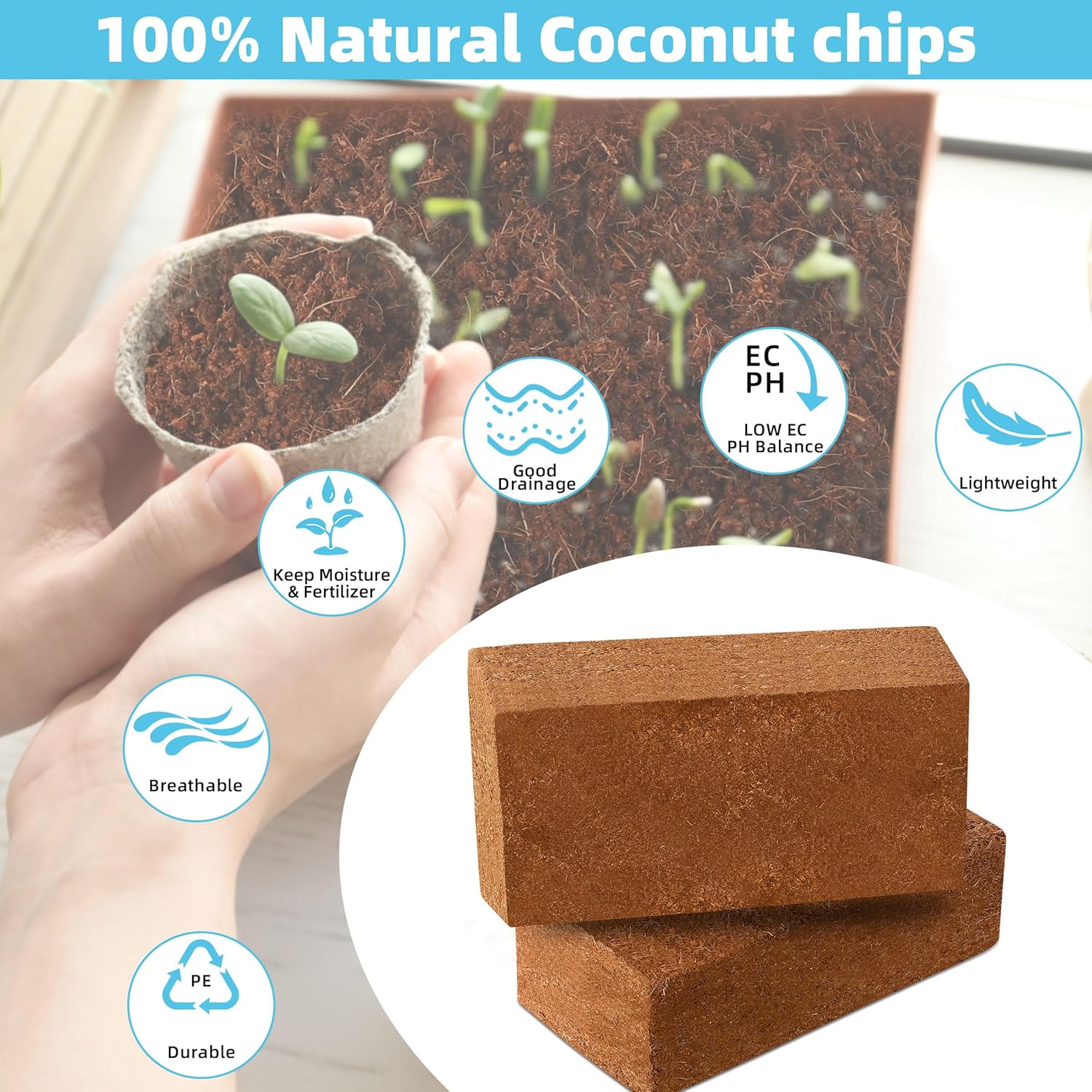 Coco Coir Bricks 6 Pack Premium 100% Organic Peat Moss, Fiber Coconut Husk for Planting, Gardening, Potting Soil Substrate