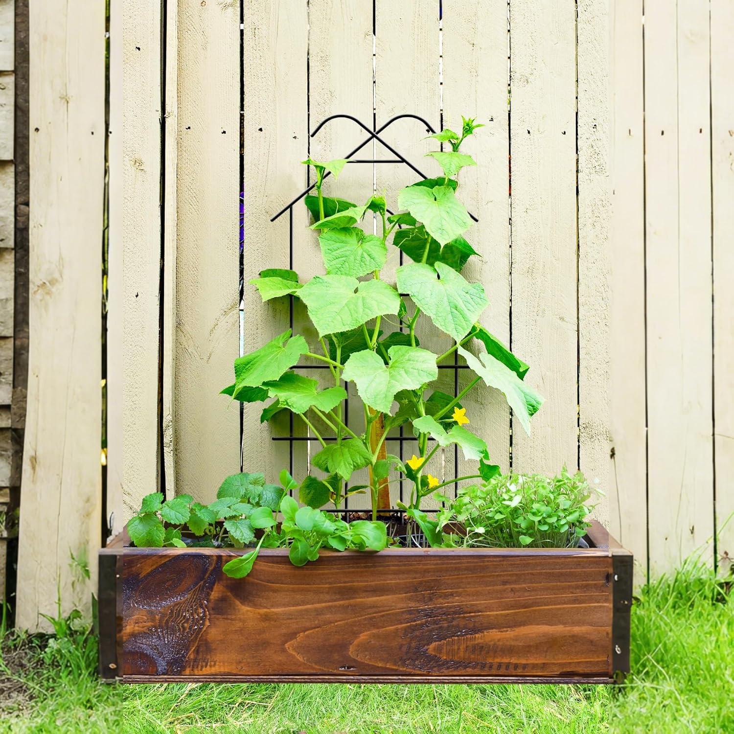 ARIFARO 40'' Metal Garden Trellis Indoor/Outdoor Sturdy Plant Trellis for Potted Plants,House Plants, Climbing Vines, Pack of 4, Black