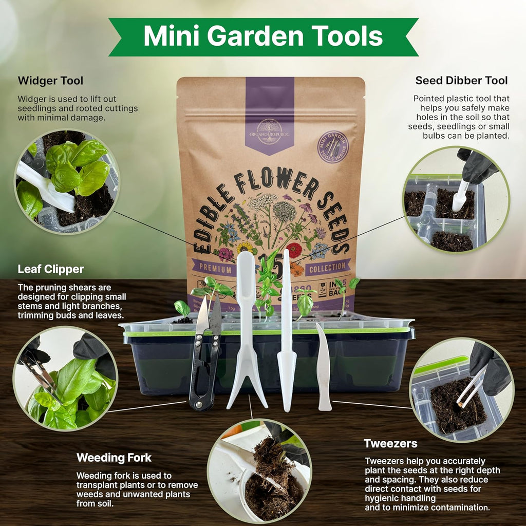 Organo Republic 15 Edible Flower Seeds Variety Pack- Indoor/Outdoor. 4800+ Non-GMO Heirloom Flower: Borage, Bishop's Flower, Chicory, Chives, Hyssop, Echinacea, Lavender Seeds & More