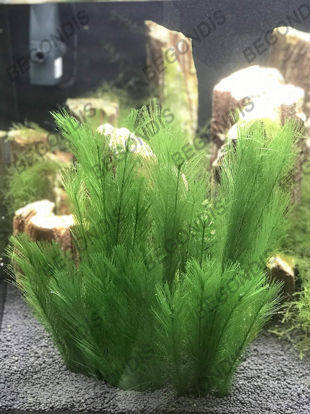 BEGONDIS 3Pcs Aquarium Decorations Fish Tank Artificial Green Water Plants Made of Silk Fabrics Plastic