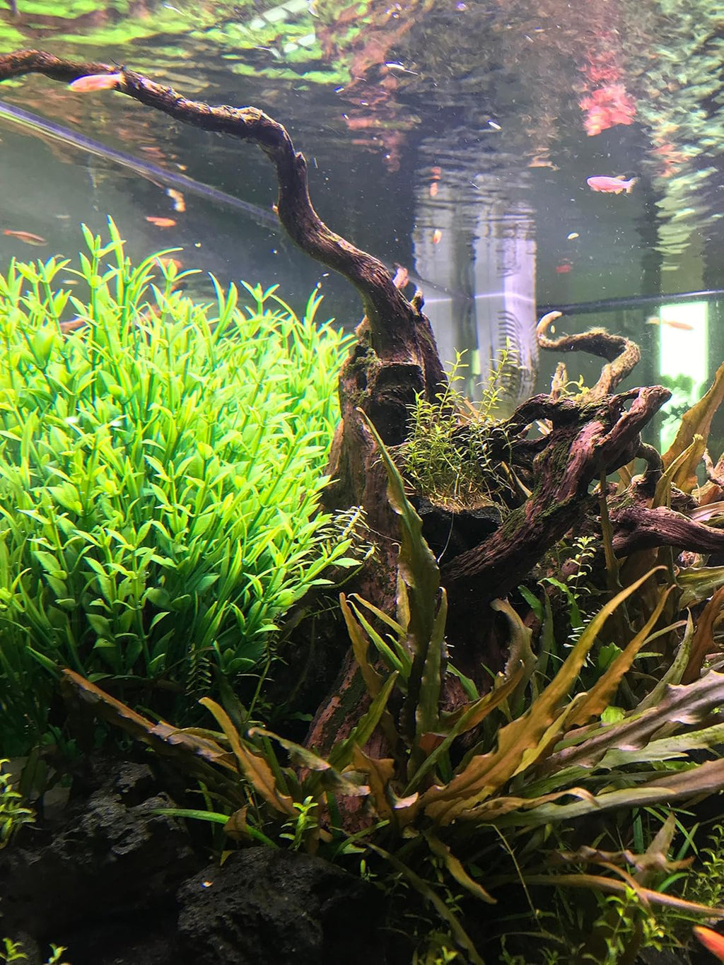 BEGONDIS Aquarium Decorations Fish Tank Artificial Green Water Plants Made of Soft Plastic