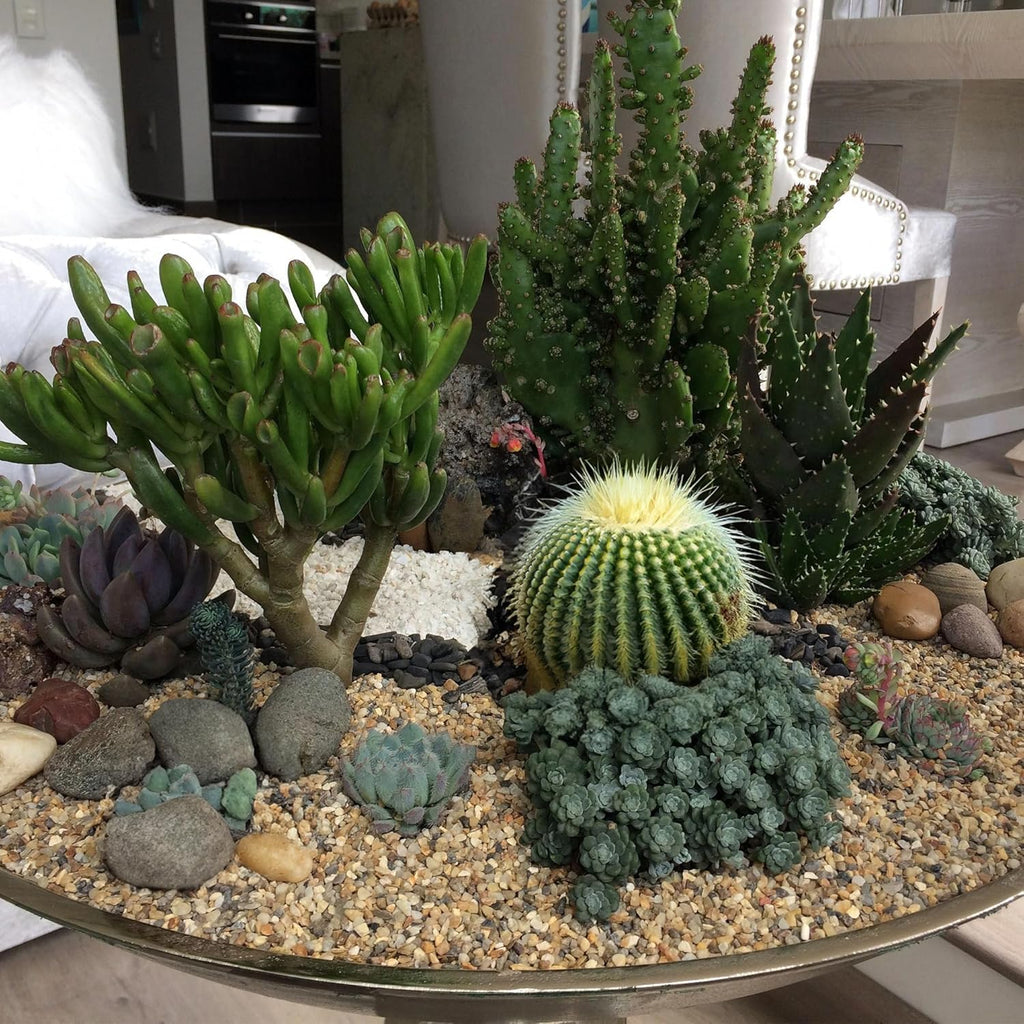 5 lbs Aquarium Gravel, 3-6mm Fish Tank Gravel, Succulent Cactus Pea Gravel for Indoor Plants, River Rocks for Gardening, Flower Pots, Vase Fillers, Garden Landscaping