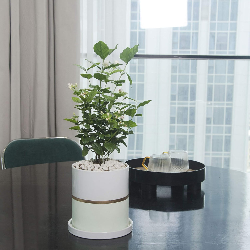 Ekirlin 4 inch Plant Pot - Ceramic Flower Planters Indoor - Modern Succulents Containers with Drain Hole Saucer, Decorate Home, Office & Outdoor (Green)