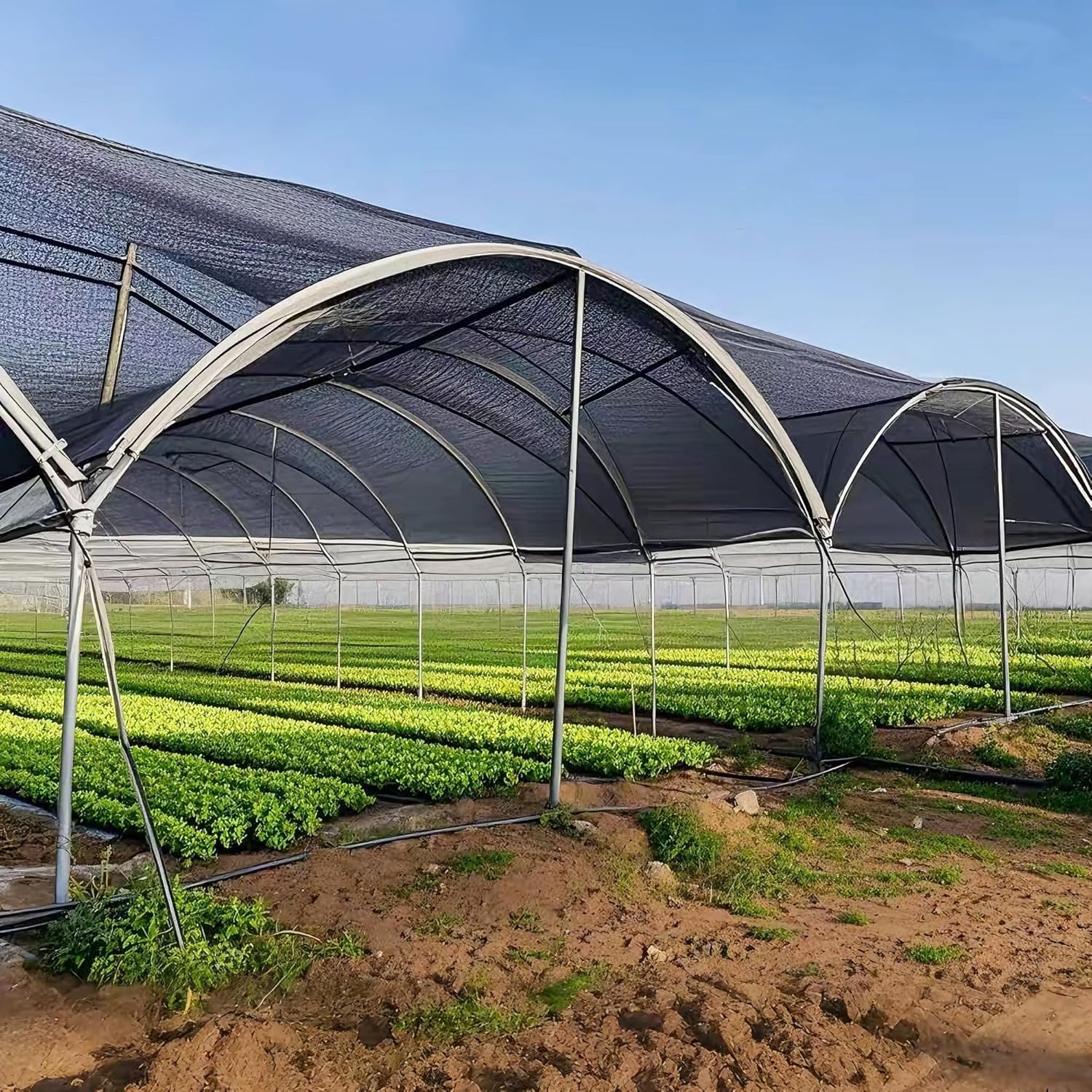 winemana Black Shade Cloth 50%, 30x50 FT Mesh Tarp - Garden Shade for Greenhouse, Patio, Vegetables, Plants Cover and Chicken Coops, Sun Shade Net for Outdoor Protection with Reinforced Grommets